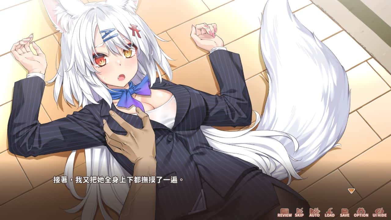 视觉数据5